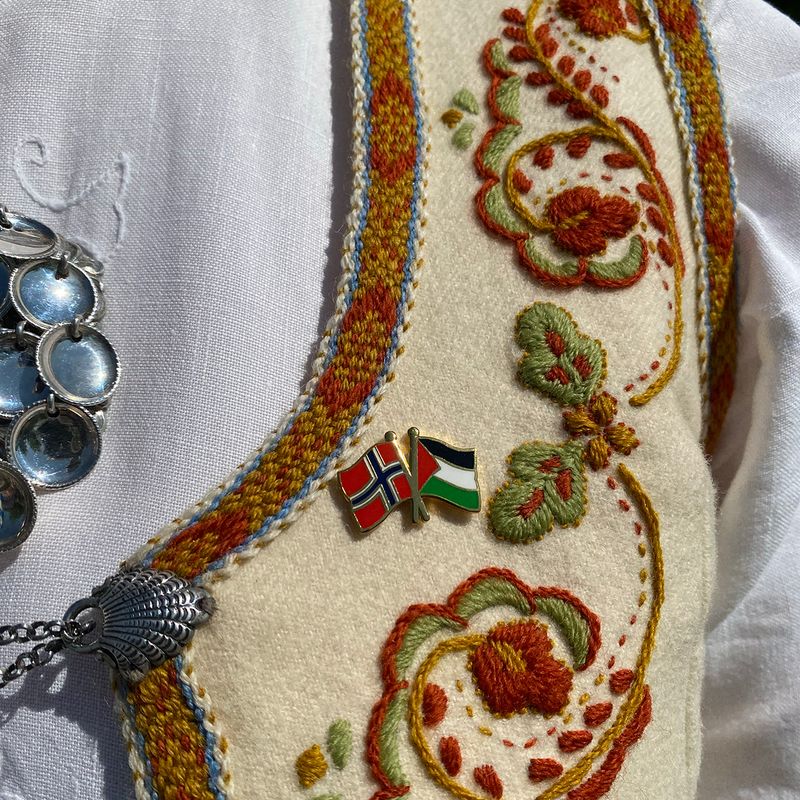 Pin, Norge/Palestina